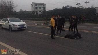 梅華車禍最新爆料視頻,視頻揭示驚人細節，事故真相再引熱議