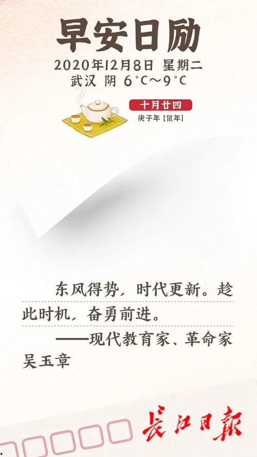 武漢早安最新爆料新聞,揭秘XX事件背后真相