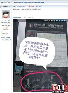 每日爆料深圳新聞網最新消息,每日爆料，聚焦深圳最新動態