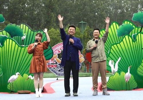 樂山酒店爆料視頻最新2020,揭秘酒店行業(yè)背后真相