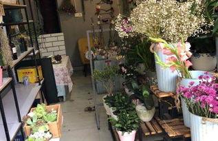 西昌最新爆料花店在哪里,探尋最新爆款的浪漫花店