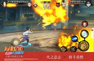 最新三位忍者爆料,三位忍者最新爆料，揭秘忍界神秘面紗