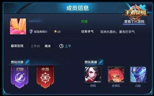 王者風神爆料最新消息,神秘英雄即將登場，游戲格局將迎巨變！